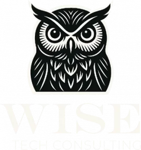 Wise Tech-Consulting